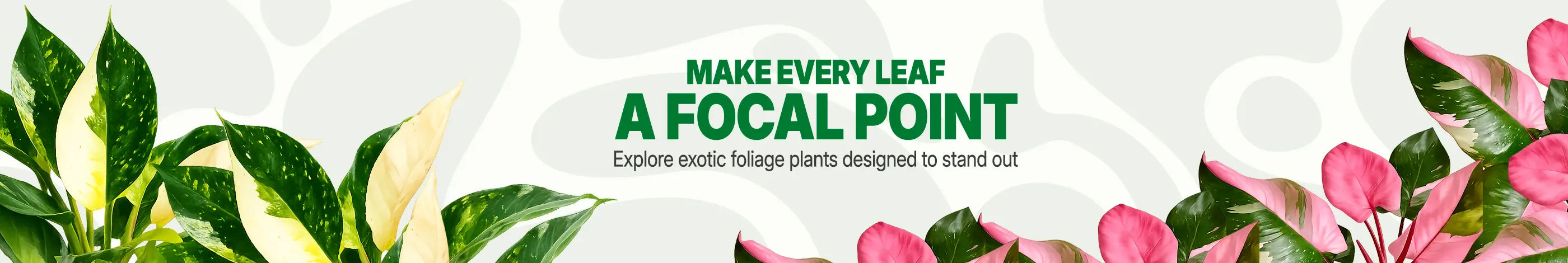 Exotic Foliage