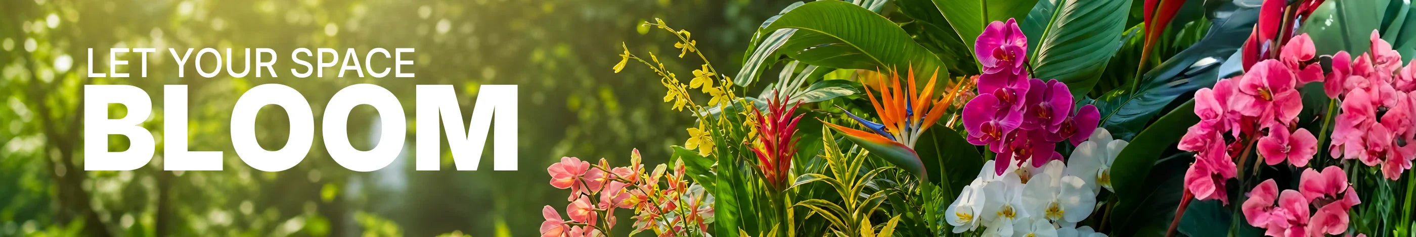 flowering plants banner