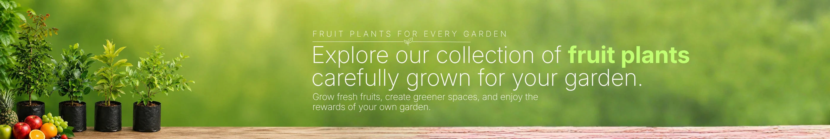 fruit plants online