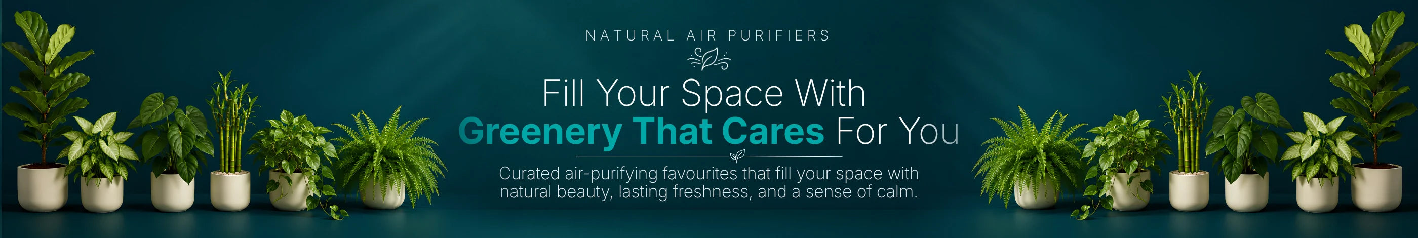 Air Purifying