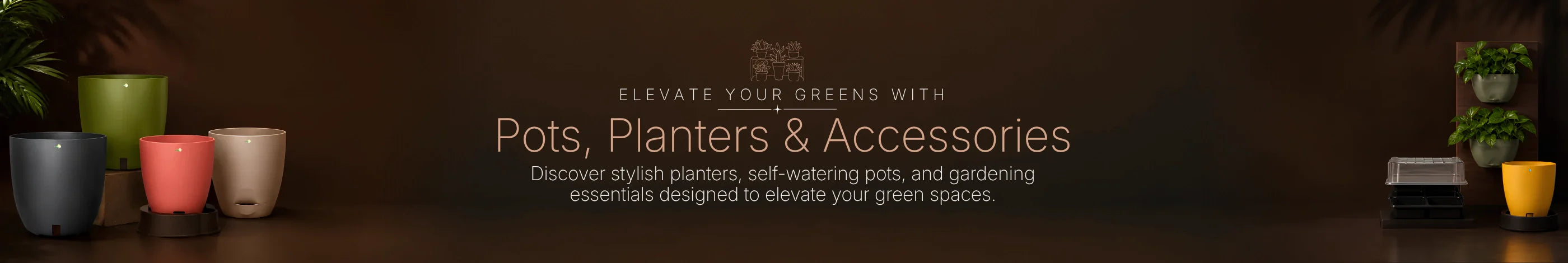 Pots & Accessories