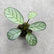 Calathea Varieties (Jiffy Plant) Combo