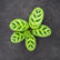 Calathea Varieties (Jiffy Plant) Combo