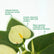 Anthurium Vanila