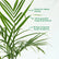 Cane Palm