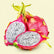 Dragon Fruit White Fleshed Pink