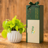 customized corporate gifts
