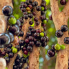 Jaboticaba Red Hybrid