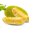 Jackfruit J-33