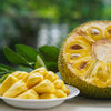 Vietnam Jackfruit