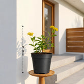 Outdoor Lantana Yellow Plant