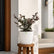 Loropetalum