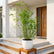 Multi Plex Bamboo