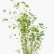 Multi Plex Bamboo