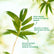 Multi Plex Bamboo