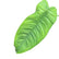 philodendron sharoniae leaf