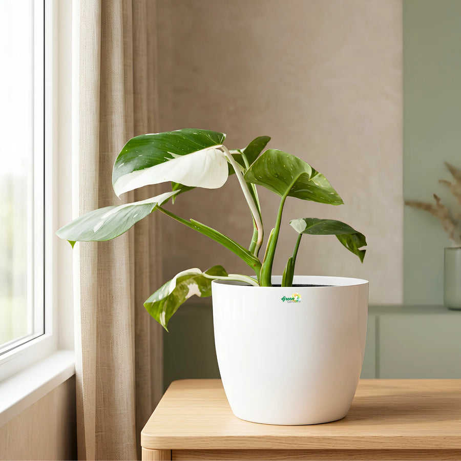 Indoor