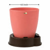 Ronda Pot