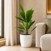 indoor