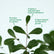 Terminalia