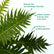 Tree Fern