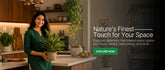 indoor plants for home