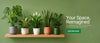 plants online shopping