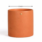 Y10 Pot