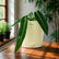 queen anthurium plant
