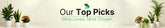 buy plants online