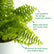 Fern