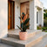 peach rubber ficus black