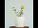 Lantana Yellow