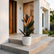 white rubber ficus black