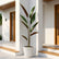 white wheat calathea plant