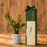 zz plant corporate gift